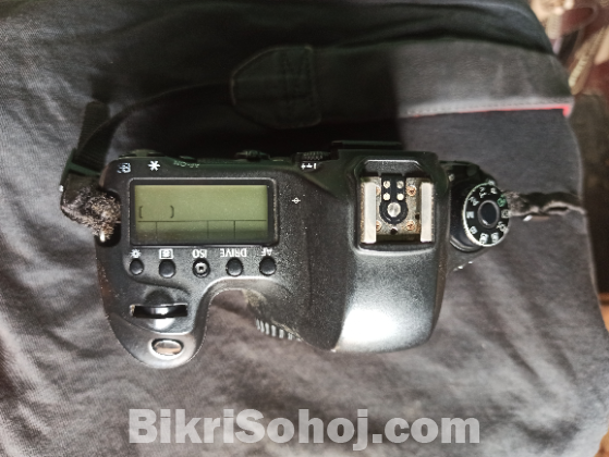 Canon 6D